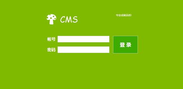 龍巖企業(yè)網(wǎng)站建設全攻略 從方案規(guī)劃到成功上線